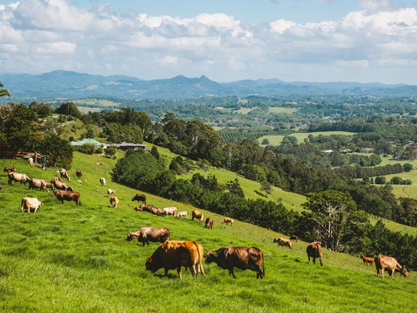 11 charming Byron Bay hinterland towns and villages to visit