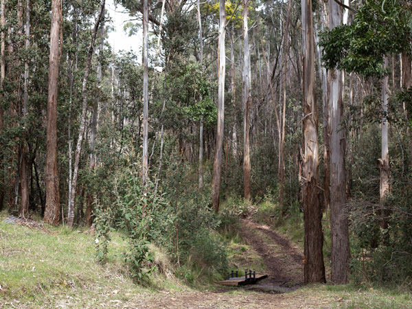 A weekend exploring the hidden gems surrounding Hanging Rock