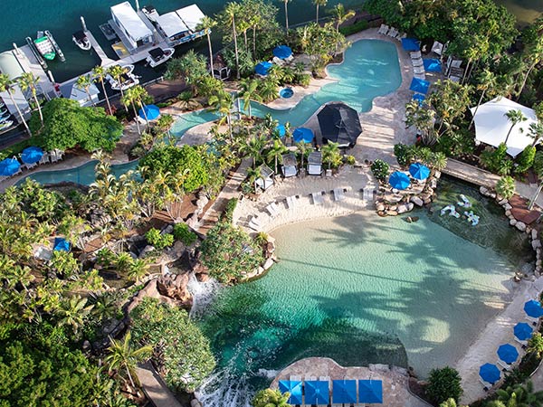 Discover the Gold Coast pool where you can dive with tropical fish