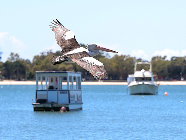 The secret holiday spot Brisbanites have been hiding