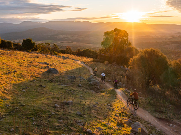 31 of the best things to do in and around Canberra