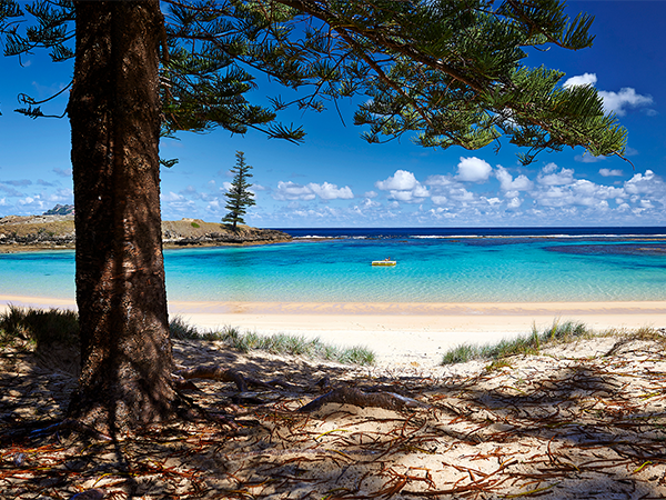 The best swimming spots on Norfolk Island