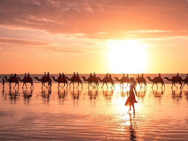 Your guide to the iconic camel rides in Broome