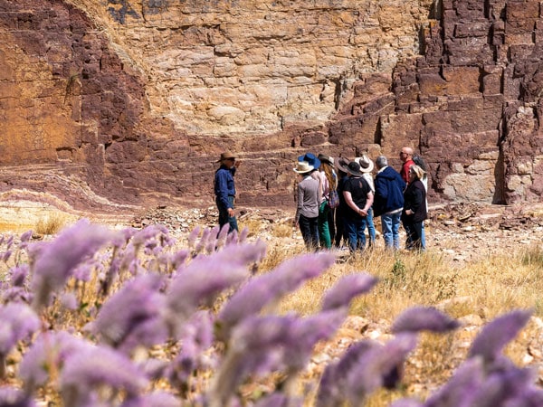 Your guide to the great Indigenous Red Centre art trail