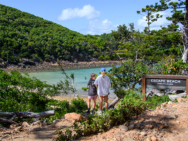 Great Barrier Reef islands: how to choose the right one for you